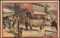 [African American man with cow, people and horses in background]