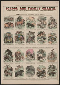 School and family charts, accompanied by a manual of object lessons and elementary instruction, by Marcius Willson and N.A. Calkins. No. XV. Zoological: economical uses of animals, New York : [publisher not transcribed], 1890.