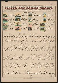 School and family charts, accompanied by a manual of object lessons and elementary instruction, by Marcius Willson and N.A. Calkins. No. IX. Writing, New York : [publisher not transcribed], 1890.