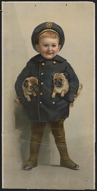 "Don't be afraid" [Little boy with a sailor's coat and hat holding a dog under each arm]