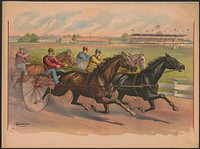 [Harness race between four horses and riders]