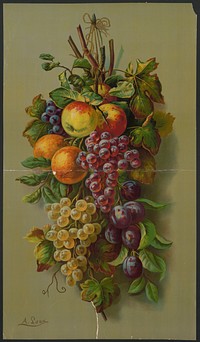 Apples, Plums & grapes, no. 8266