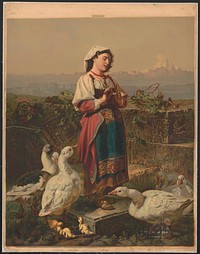 [Girl with geese and gosslings with mountains in the background]