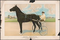 Dan Patch, champion harness horse of the world, record 1.59 1/4 driven by M.E. McHenry