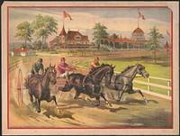 [Three harness racers]