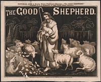 The good shepherds