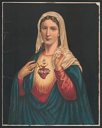 S.S. Heart of Mary