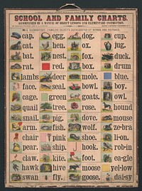 School and family charts:elementary; familiar objects represented by word and pictures, New York : Harper & Brothers, c1890.