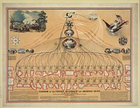 Diagram of the Federal Government and American Union by N. Mendal Shafer, attorney and counseller at law, office no. 5 Masonic Temple, Cincinnati / lith. by Ehrgott, Forbriger & Co.