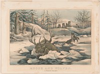 Moose and wolves a narrow escape., Currier & Ives.