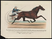 The celebrated trotting horse Gloster by Volunteer, dam by Stockbridge Chief: Winner of the first prize in the $6,000 purse, for 2:20 horses, at Rochester, N.Y. Aug. 14th 1874, Currier & Ives.