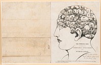 The Symbolical head, illustrating all the phrenological developements of the human head