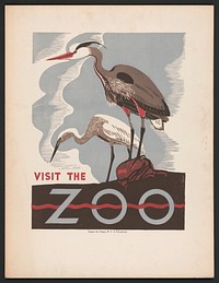 Visit the zoo