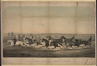 Celebrated American trotting horses / lith. W.H. Rease ; painted by R.A. Clarke.