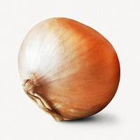 Organic onion, vegetable isolated image psd