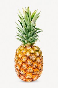 Pineapple fruit collage element psd