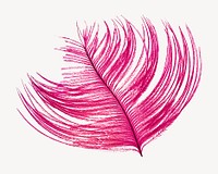 Pink feather collage element, isolated image psd