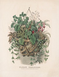 Flora's treasures, Currier & Ives.