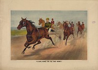 "A sure horse for the first money", Currier & Ives.