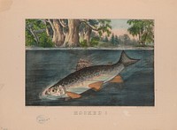 Hooked!, Currier & Ives.