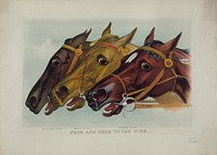 Neck and neck to the wire, Currier & Ives.