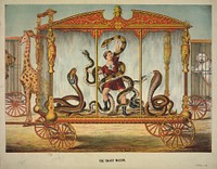 The snake wagon, c1874.