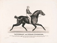 "Dutchman" and Hiram Woodruff, Currier & Ives.