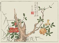 Japanese flower. Original public image from the New York Public Library