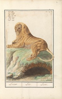 Original public domain image from the Rijksmuseum