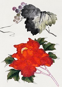 Katsushika Hokusai’s Japanese flower, Album of Sketches (1760–1849) paintings. Original public domain image from The MET Museum.   Digitally enhanced by rawpixel.