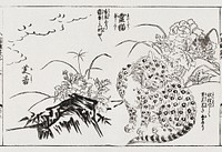 Japanese cat (1679-1748) vintage woodcut by Tachibana Morikuni. Original public domain image from the Library of Congress.   Digitally enhanced by rawpixel.