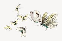 Hokusai’s Butterflies and Moths psd.  Remastered by rawpixel. 