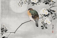 Bird perched on a branch (1892) vintage Japnese drawing. Original public domain image from the Library of Congress.   Digitally enhanced by rawpixel.