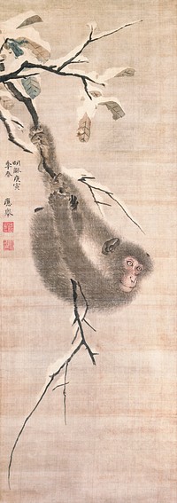 Japanese monkey on branch (1770) vintage ink and color on silk by Maruyama Ōkyo. Original public domain image from the Minneapolis Institute of Art.   Digitally enhanced by rawpixel.