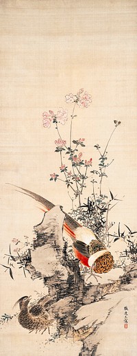 Japanese pheasant and flower (1783 - 1856) vintage painting by Yamamoto Baiitsu. Original public domain image from the Minneapolis Institute of Art.   Digitally enhanced by rawpixel.