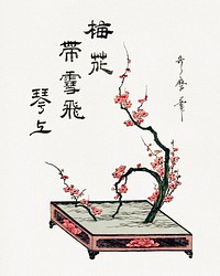 Japanese ikebana plum branch (18th-19th century) vintage woodblock print by Kitagawa Utamaro. Original public domain image from the Minneapolis Institute of Art.   Digitally enhanced by rawpixel.