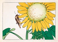 Japanese grasshopper and sunflower (1877) vintage woodblock print by Shibata Zeshin. Original public domain image from the Minneapolis Institute of Art.   Digitally enhanced by rawpixel.