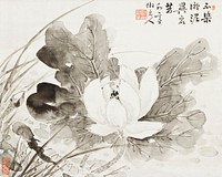 Japanese blooming lotus (19th century) vintage painting by Taki Katei. Original public domain image from the Minneapolis Institute of Art.   Digitally enhanced by rawpixel.