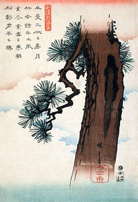 Japanese pine tree (1842-1843) vintage Ukiyo-e by Utagawa Hiroshige. Original public domain image from the Minneapolis Institute of Art.   Digitally enhanced by rawpixel.