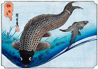 Carp and Crucians (1830) by Utagawa Hiroshige. Original public domain image from the Minneapolis Institute of Art.   Digitally enhanced by rawpixel.