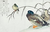 Japanese mallards and kingfisher (1790) vintage woodblock print by Kitagawa Utamaro. Original public domain image from the Minneapolis Institute of Art.   Digitally enhanced by rawpixel.