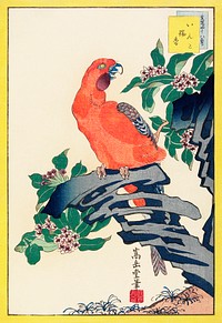 Japanese pink parrot (1859) vintage woodblock print by Nakayama Sūgakudō. Original public domain image from the Minneapolis Institute of Art.   Digitally enhanced by rawpixel.