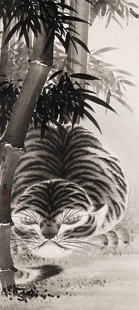 Sleeping Tiger in Bamboo (18th century) by Watanabe Shusen. Original public domain image from The Minneapolis Institute of Art.   Digitally enhanced by rawpixel.