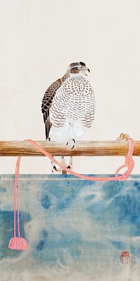 Japanese hawk (19th century) vintage woodblock print by Tosa Mitsuoki. Original public domain image from the Minneapolis Institute of Art.   Digitally enhanced by rawpixel.