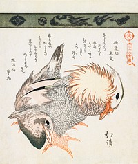 Mandarin duck and drake (1828) vintage Chinese woodblock print by Totoya Hokkei. Original public domain image from the Minneapolis Institute of Art.   Digitally enhanced by rawpixel.