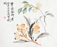 Loquat Tree of Japan (1845–54) by Tsubaki Chinzan. Original public domain image from The Cleveland Museum of Art.   Digitally enhanced by rawpixel.