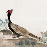 Japanese pheasant (1658–1716) vintage painting by Ogata Korin. Original public domain image from The Cleveland Museum of Art.   Digitally enhanced by rawpixel.