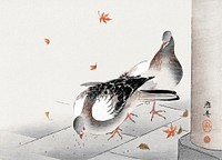 Two pigeons (1889 - 1927) vintage Japanese woodcut prints by Oshin. Original public domain image from the Rijksmuseum.   Digitally enhanced by rawpixel.