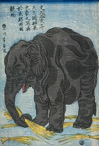 Large Indian elephant (1863) vintage Japanese painting by Utagawa Yoshikazu. Original public domain image from The Art Institute of Chicago.   Digitally enhanced by rawpixel.