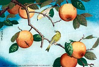 Persimmons and White-Eyes (1880) by Kobayashi Kiyochika. Original public domain image from The Los Angeles County Museum of Art.   Digitally enhanced by rawpixel.